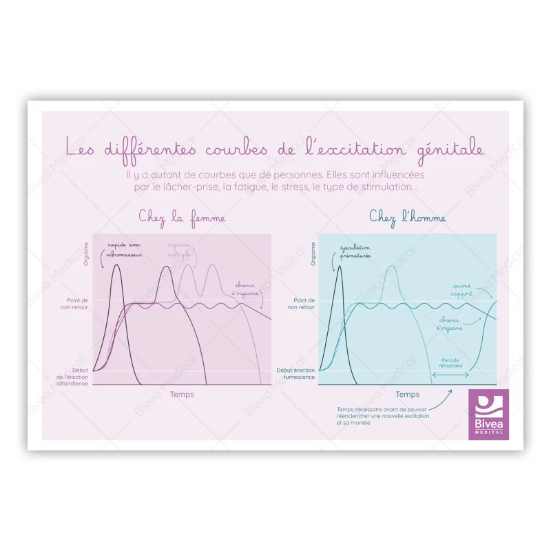 Schéma les différentes courbes de l'excitation génitale