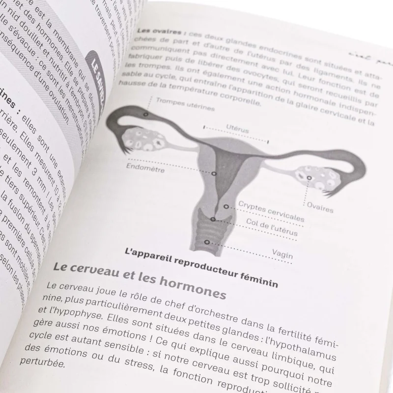 Livre Ma Révolution Sexuelle avec la Symptothermie Livre Ma Révolution Sexuelle avec la Symptothermie