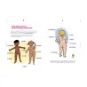 Livre le petit guide de la foufoune sexuelle tome 1