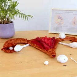 Modèle anatomique utérus et ovaires en peluche grand