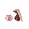 Modèle anatomique Clitoris 3D en PVC Modèle anatomique Clitoris 3D en PVC