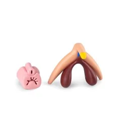 Modèle anatomique Clitoris...