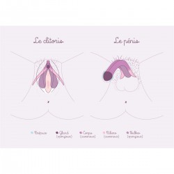 Carte anatomique Clitoris...