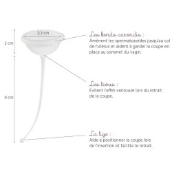 Coupe de conception FERTI-LILY de démonstration