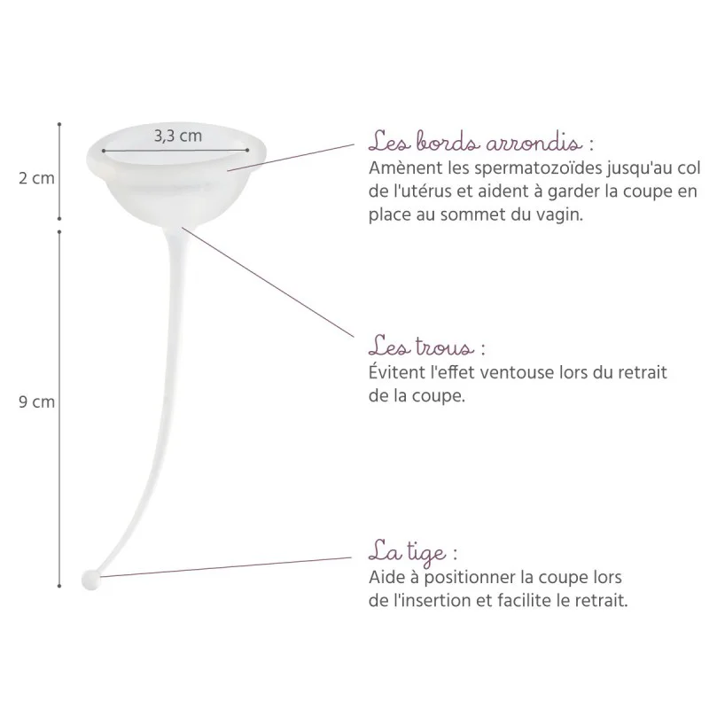 FERTI-LILY coupe de Démonstration